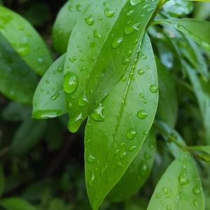 気にしすぎで心が疲れた時の癒しの瞑想