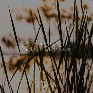 Silent Seraph's Song