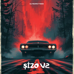 Şizo V2