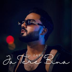 Ja Tere Bina (Remix)