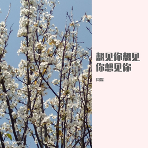 想见你想见你想见你