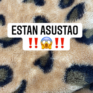 Estan Asustao (feat. Bebo el tio, Mauri & Sangre p.r)