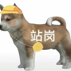 南征北战NZBZ-原来（HIPPO remix）