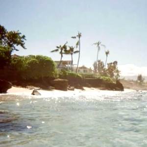 STARFISH ((NUDIST BEACH))
