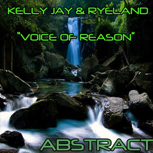 Voice Of Reason (Original Mix)