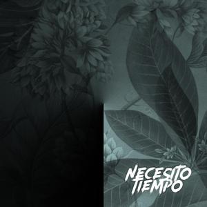 Necesito Tiempo