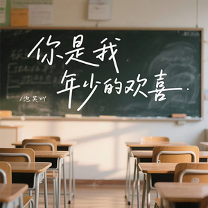 你是我年少的欢喜