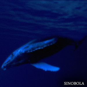 Speak in Whispers (2025 Remastered Version)