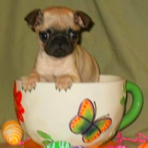 faded den a mug (Nightcore Version)