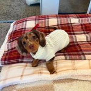 just dance instrumental