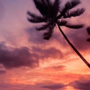 苏喂苏喂小黄人