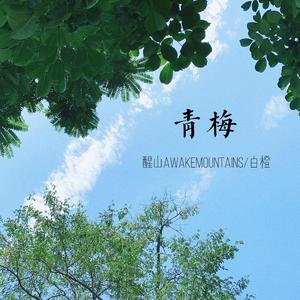 醒山AwakeMountains-青梅（白橙 remix）