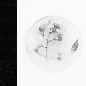 Réalité White Noise-Herausforderung