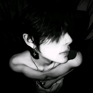 幻昼旋律v9（Mr. L Zhang Xing remix）