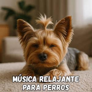 Descanso de Orejitas