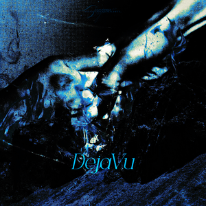 Deja Vu（中文填词版）