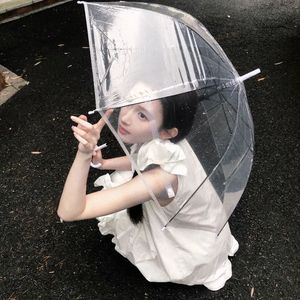 《追梦飞鸟》