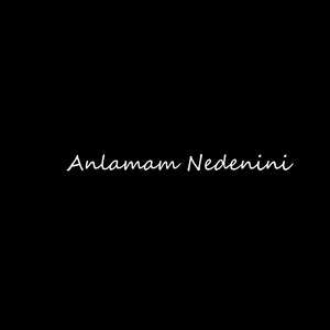 Anlamam Nedenini