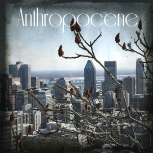 La Route Aux Briques Jaunes