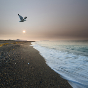 Снится мне сон