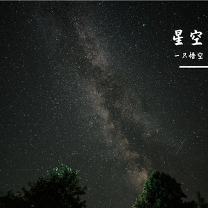 我不是你的宋冬野