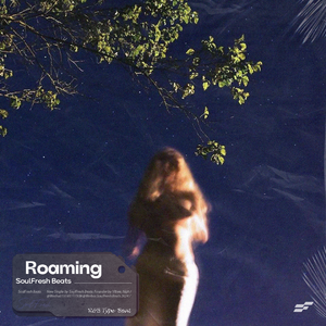 R&B Type Beat "Roaming"