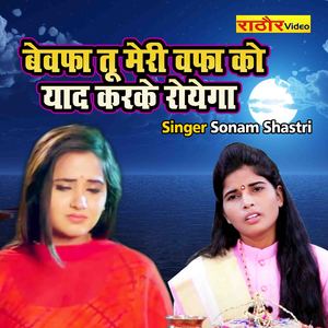 Bewafa Tu Meri Wafa Ko Yaad Karke Royega