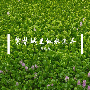 紫禁城里的似水流年