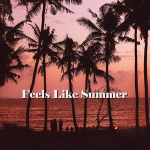 Feels Like Summer (feat. Kristian Hansson & GAUS)