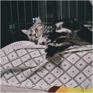 步步__利休（cover五月天）