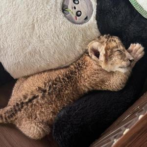 当时只道是寻常