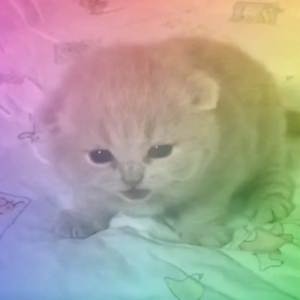 Parent Issues (Remix)