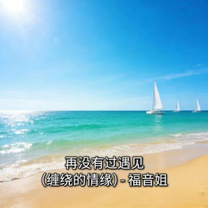 再没有过遇见 (烟嗓版)