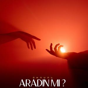 Aradın Mı ?