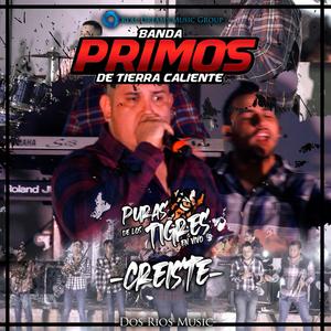 Creíste - Live Session (Live) (Live)