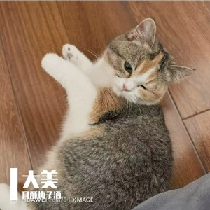 大美