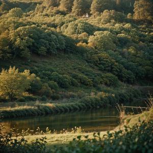 辋川闲居赠裴秀才迪