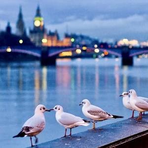 童话镇（Cover 陈一发）