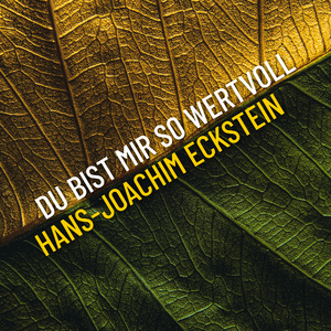 Ich möchte nur