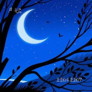 蓝蓝的夜蓝蓝的梦 (光启 Remix)