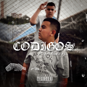 Códigos