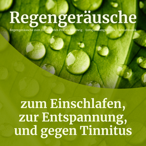 Regengeräusche