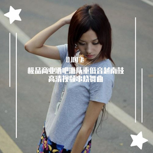 DJ国飞-极品商业酒吧派队重低音越南鼓高清视频串烧舞曲（DJ国飞 remix）