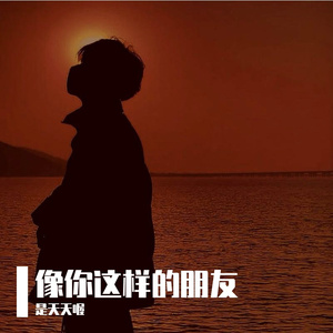 像你这样的朋友