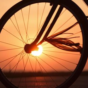 Pedalar