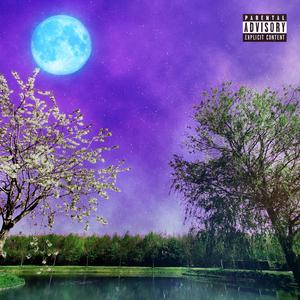 20°C in de Avond (feat. Larre$)