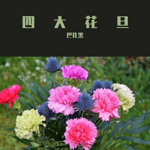 块萨几萨