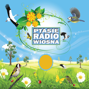 Puszczyk, bogatka, kos, grzywacz, wrona, wrona siwa, muchołówka żałobna