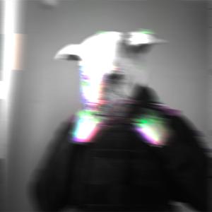 HPPD