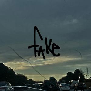 fake